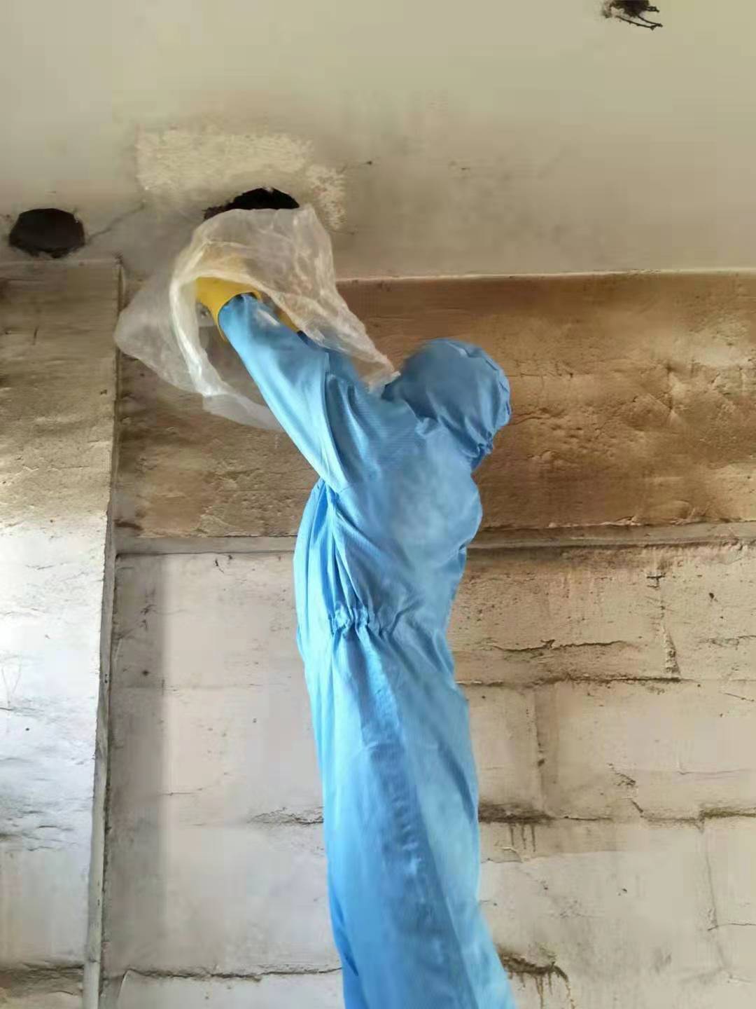 达州除虫